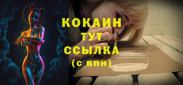 шишки Вяземский