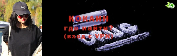 шишки Вяземский