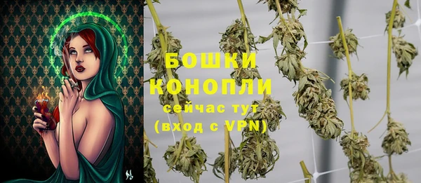 шишки Вяземский