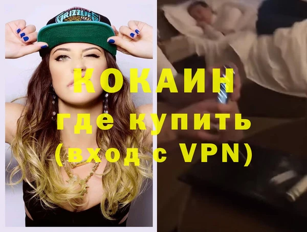 шишки Вяземский